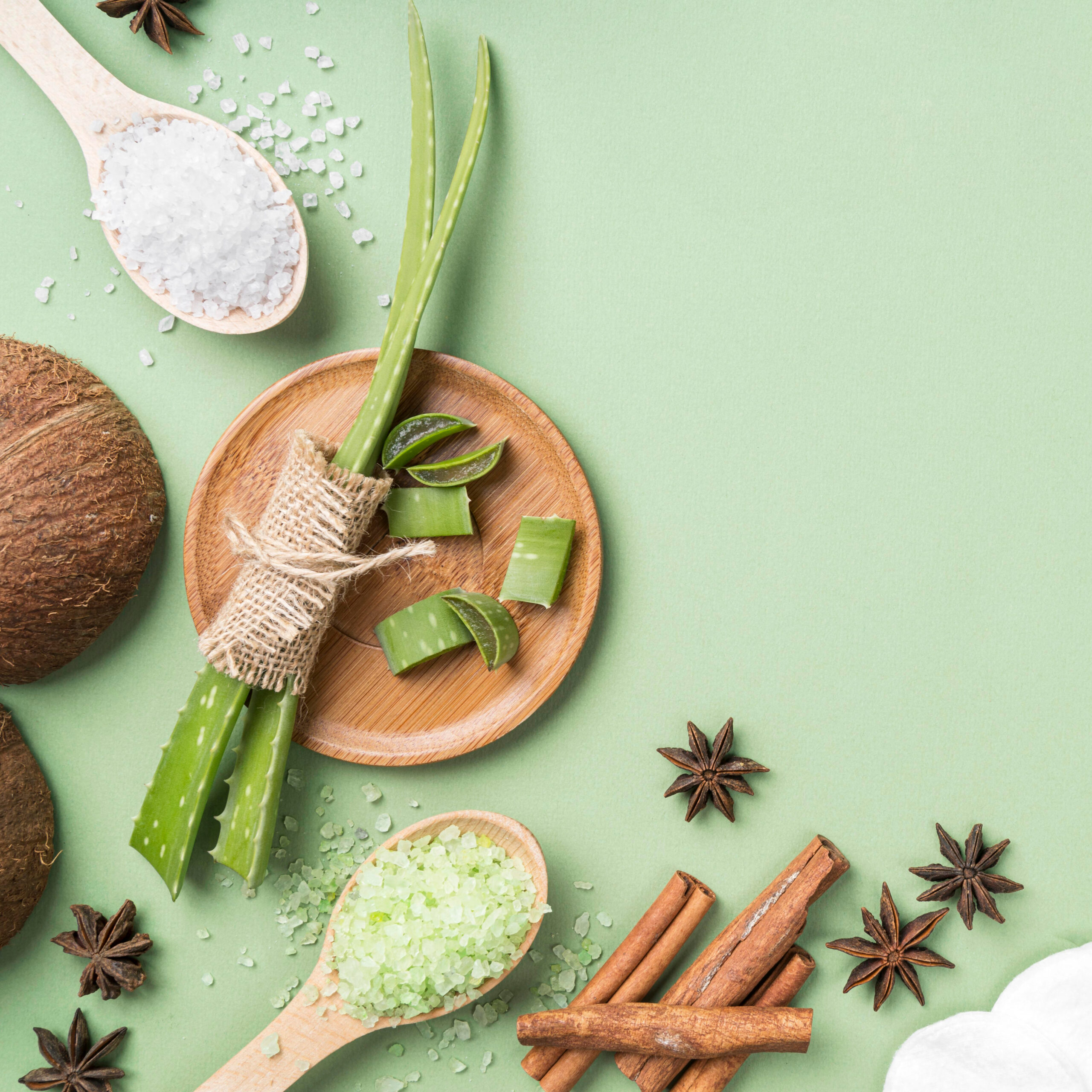 Có nên trồng cây trầu không trước nhà? Ý nghĩa phong thủy